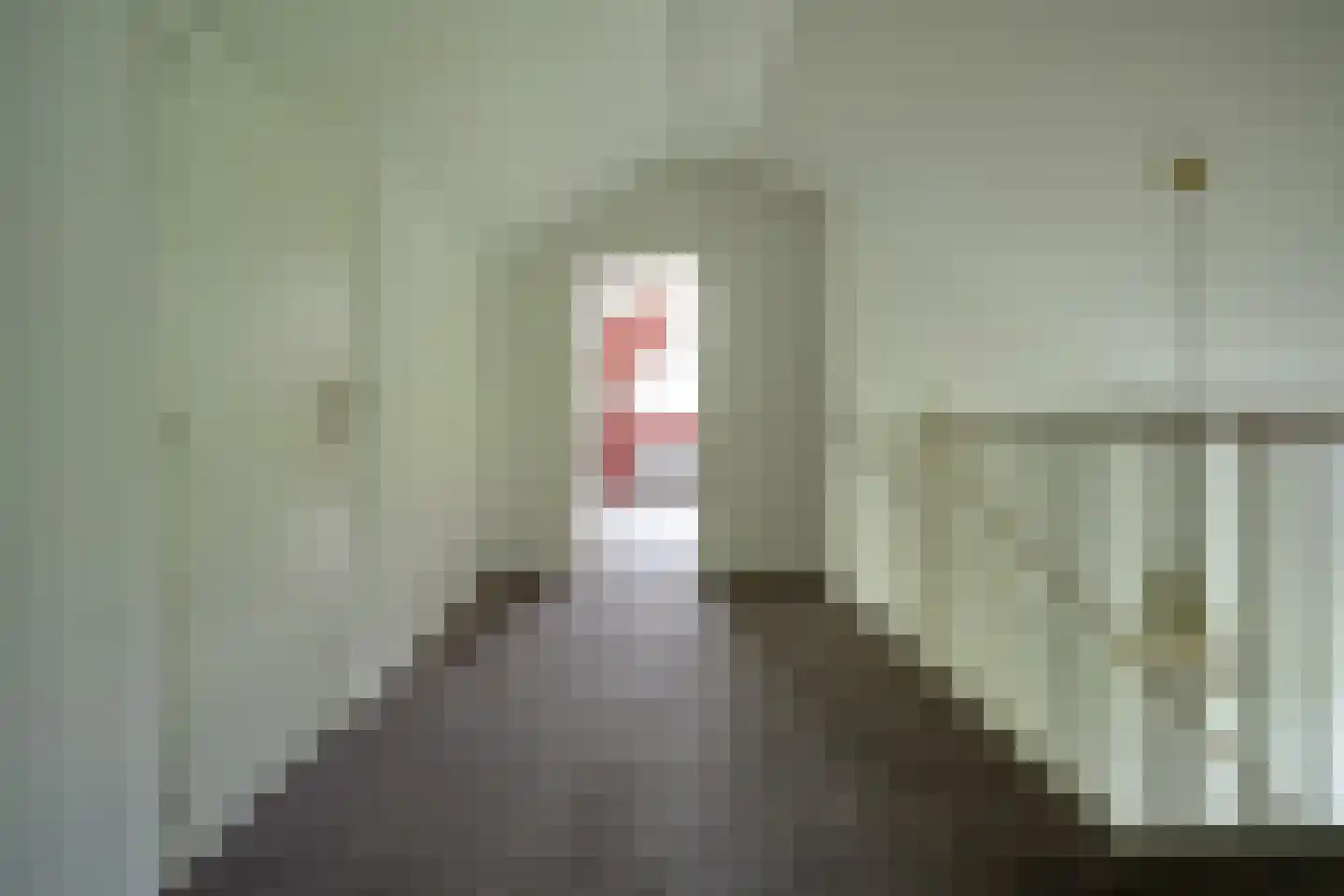 Papaverstraat 16 Vries thumbnail 35
