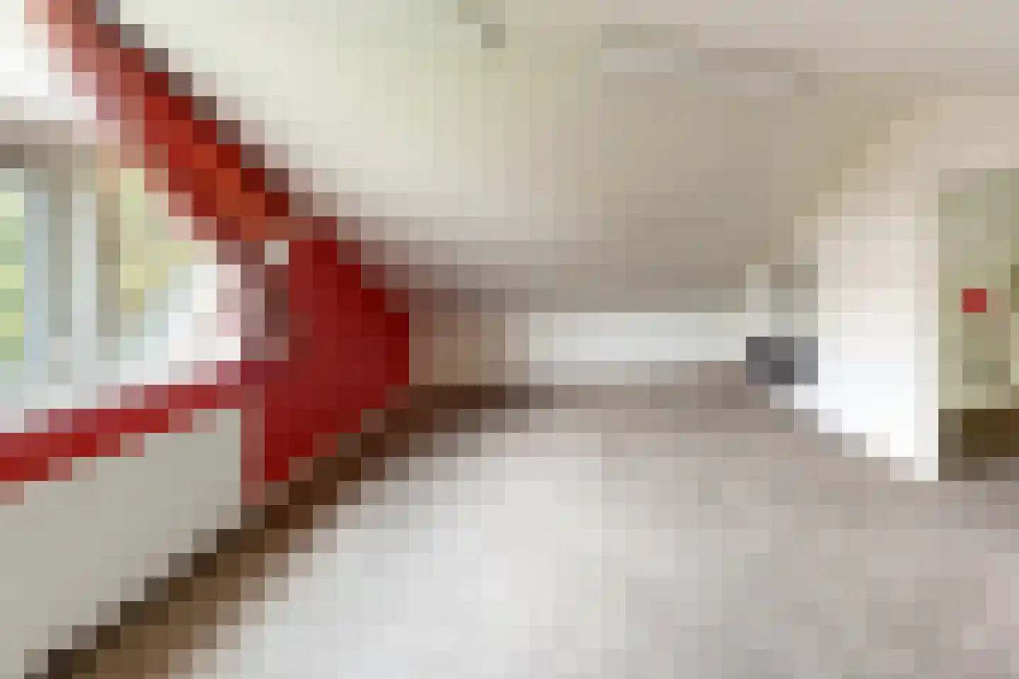 Papaverstraat 16 Vries thumbnail 37