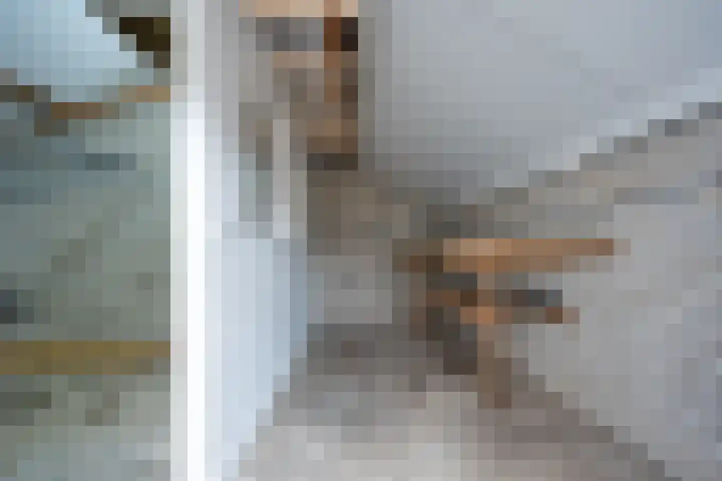 Papaverstraat 16 Vries thumbnail 40