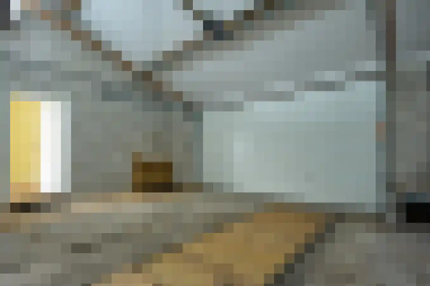 Papaverstraat 16 Vries thumbnail 41