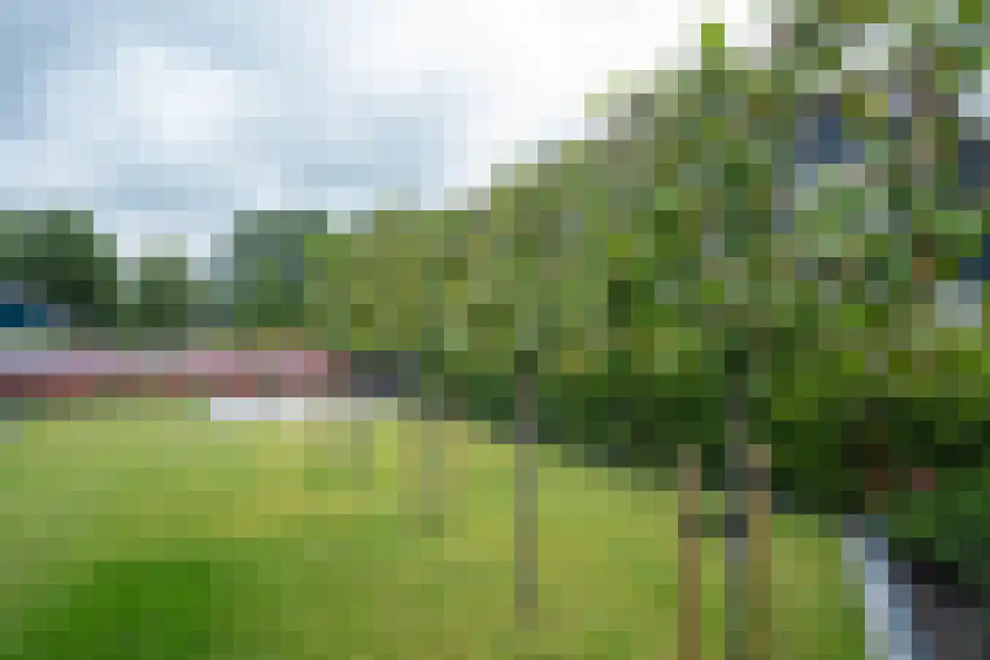 Papaverstraat 16 Vries thumbnail 49