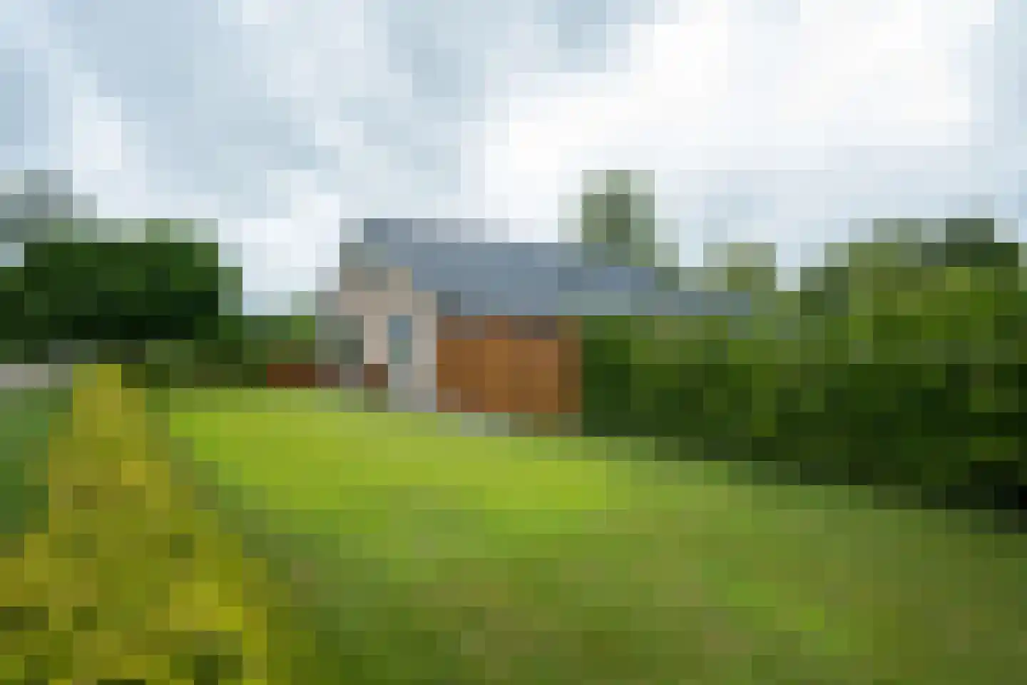 Papaverstraat 16 Vries thumbnail 55