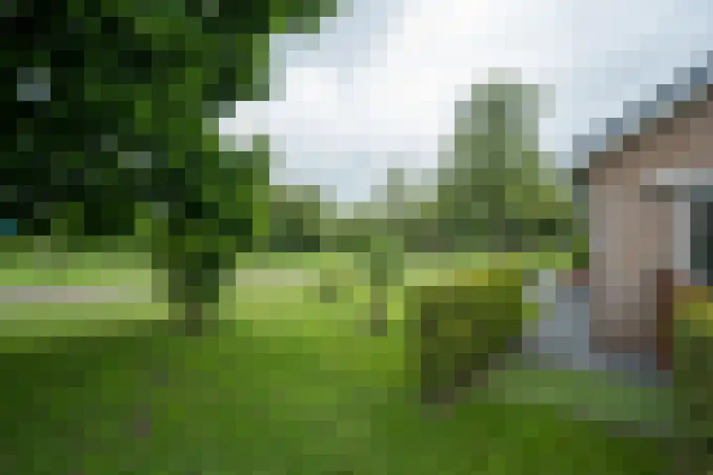 Papaverstraat 16 Vries thumbnail 56