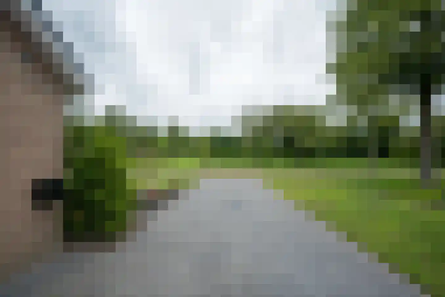 Papaverstraat 16 Vries thumbnail 61