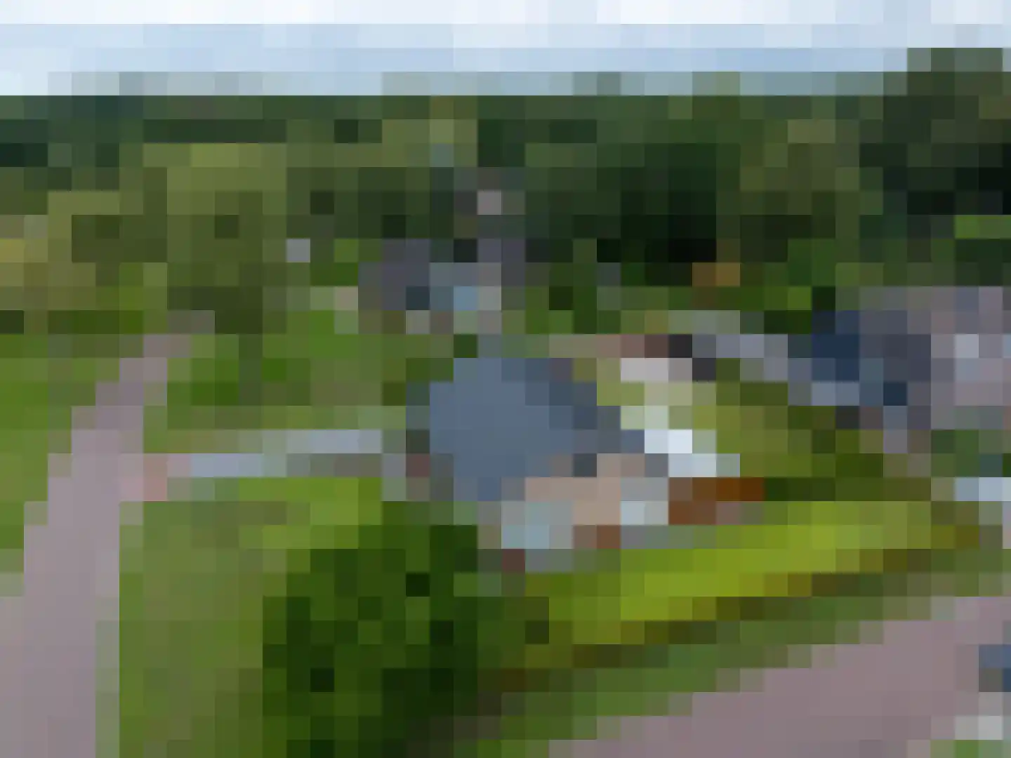 Papaverstraat 16 Vries thumbnail 66