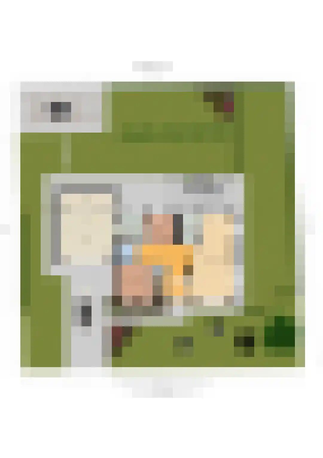 Papaverstraat 16 Vries thumbnail 78