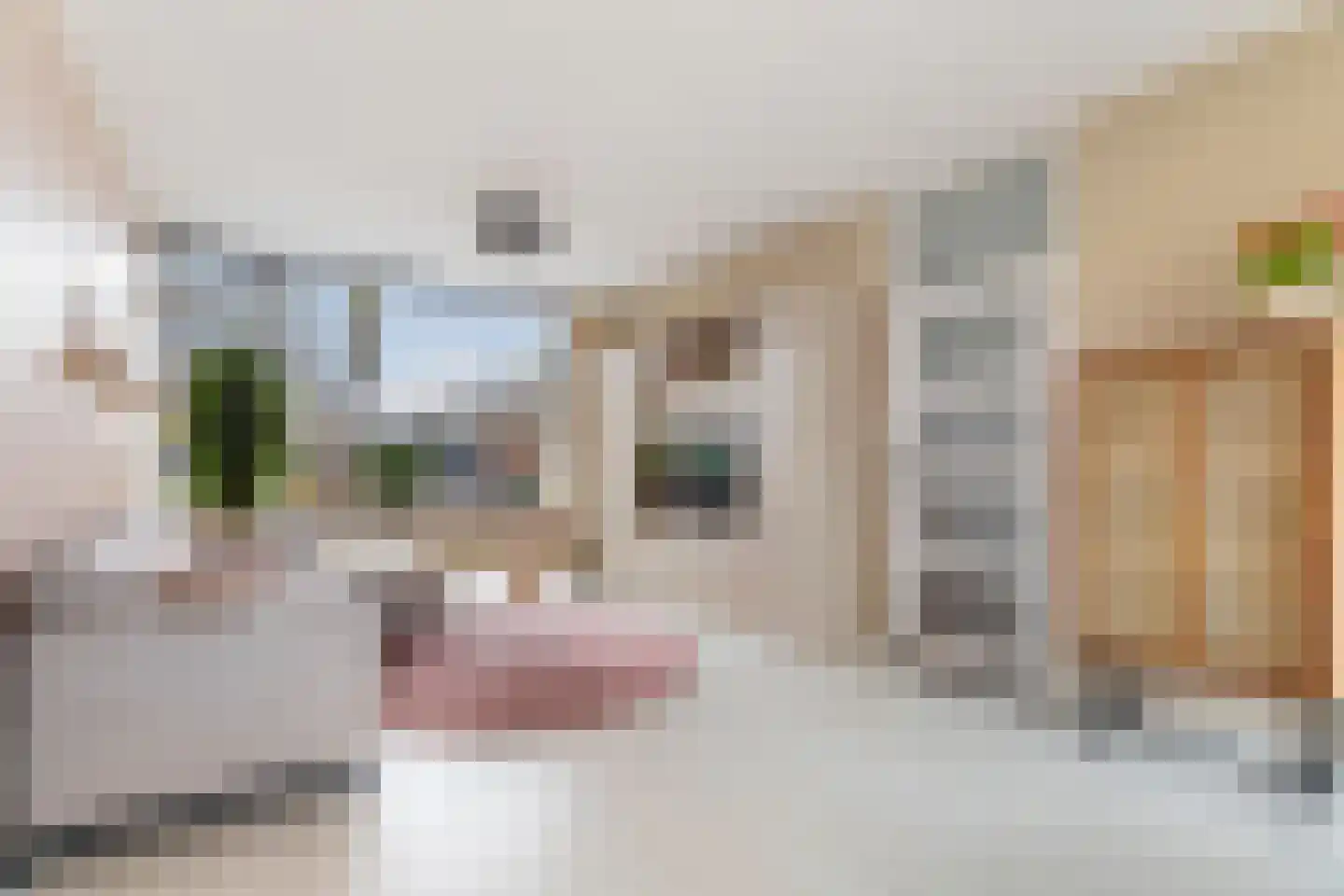 Papaverstraat 18 Stolwijk thumbnail 4