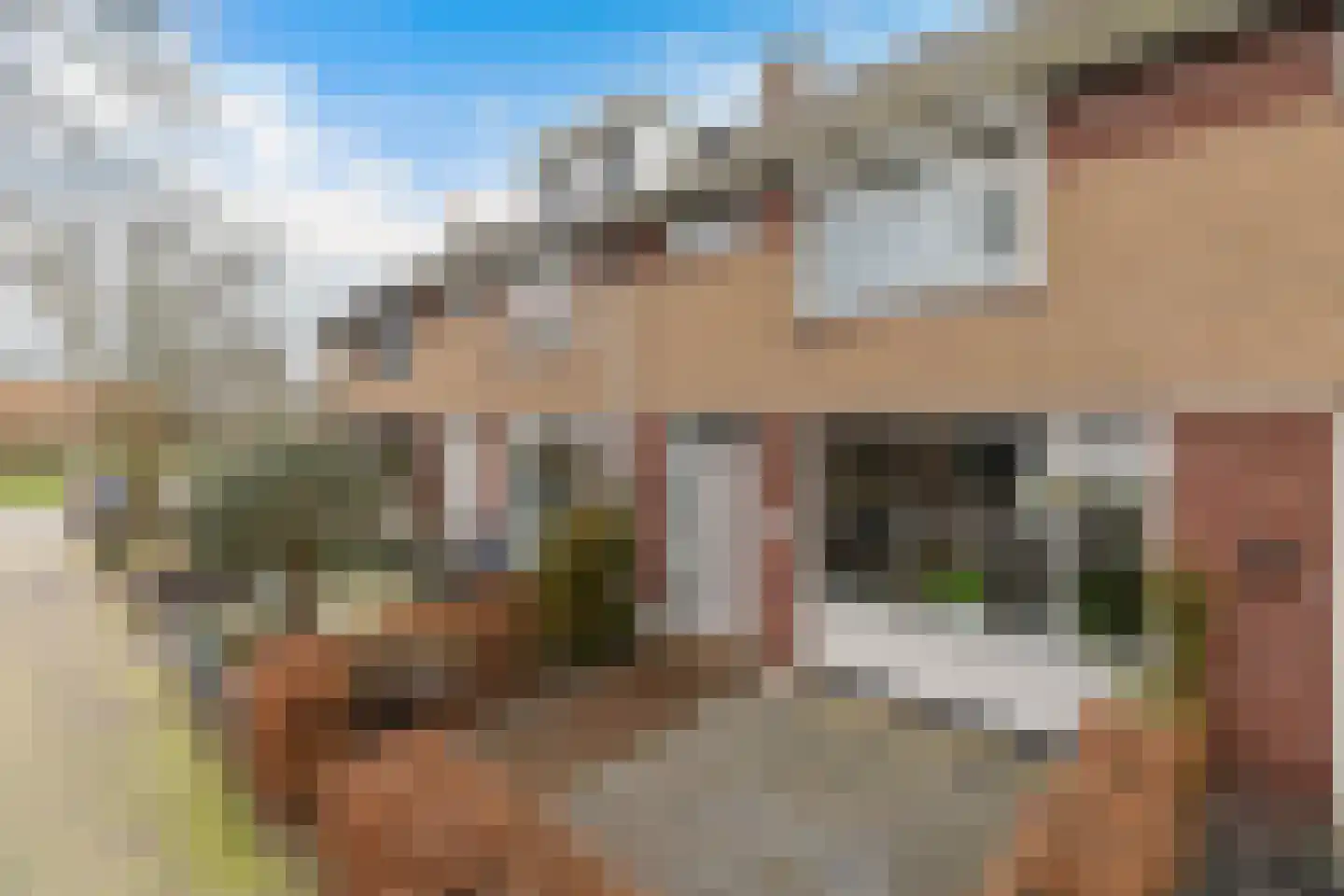 Papaverstraat 18 Stolwijk thumbnail 41