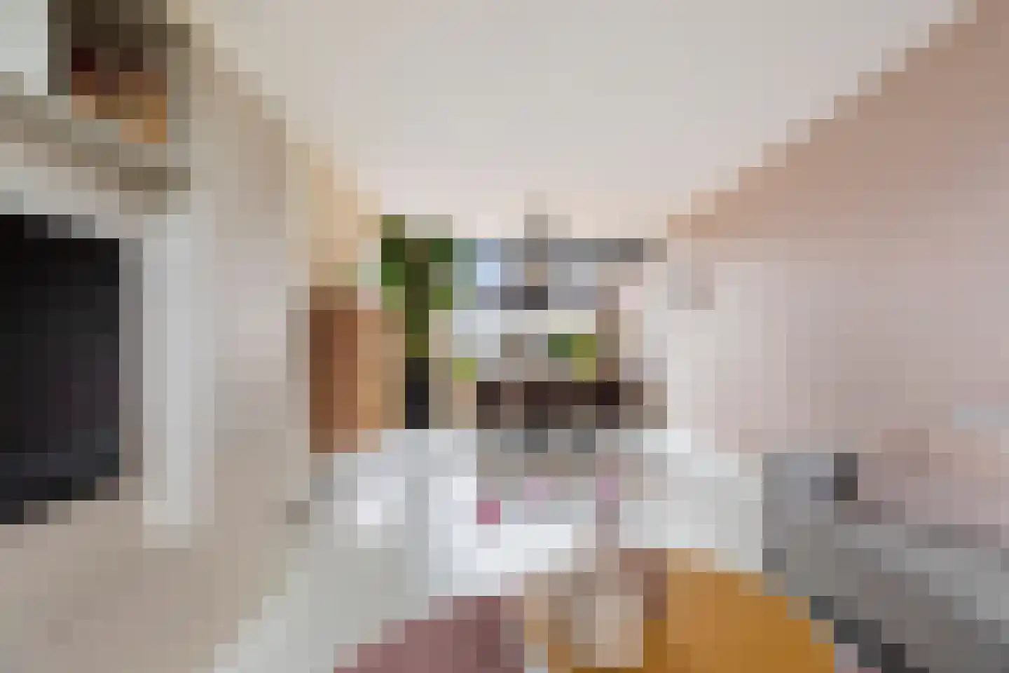 Papaverstraat 18 Stolwijk thumbnail 7
