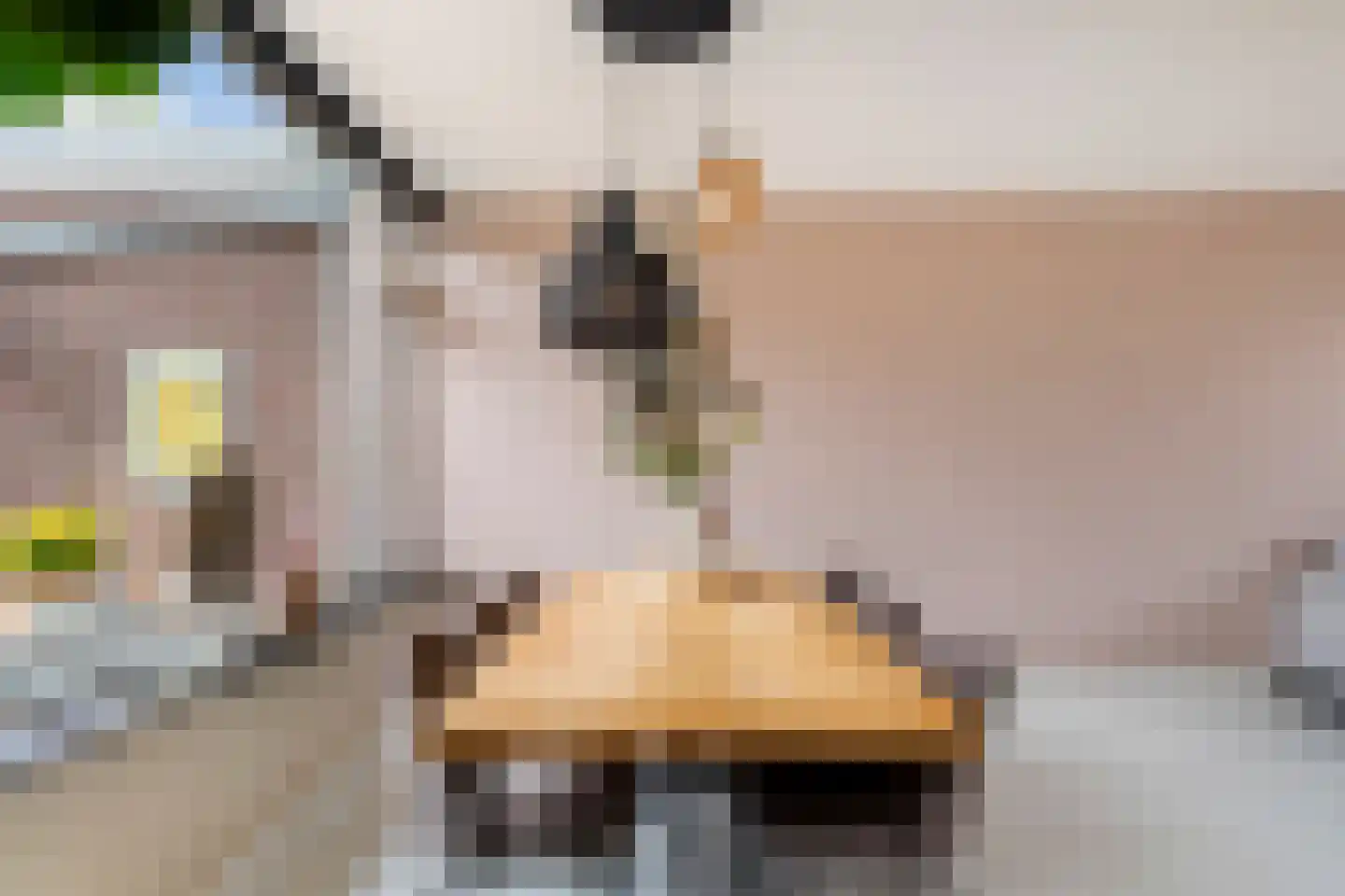 Papaverstraat 18 Stolwijk thumbnail 9