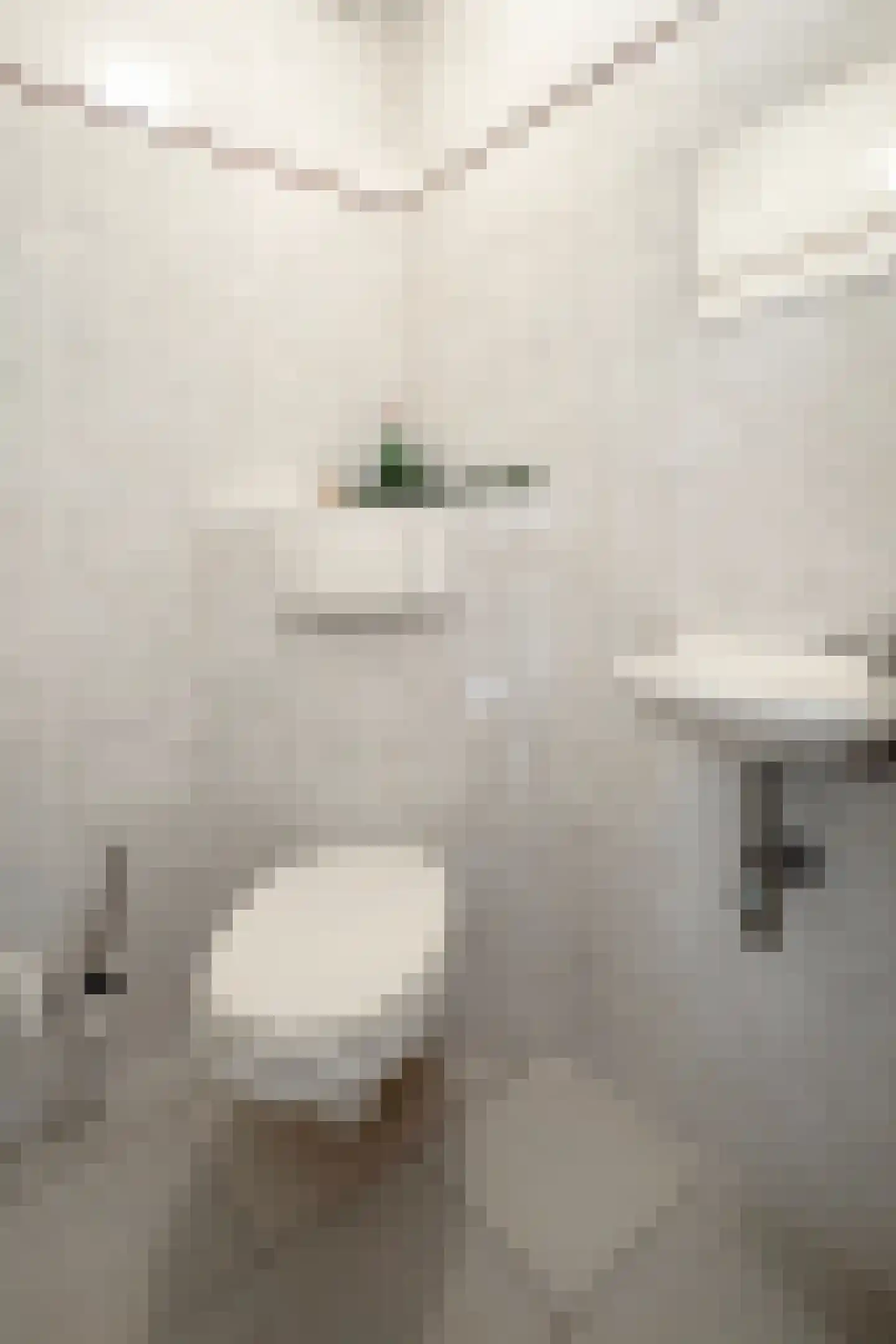 Papaverstraat 19 Zevenbergen thumbnail 10