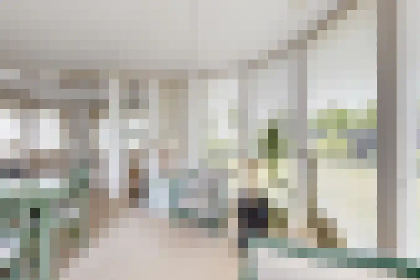 Papaverstraat 19 Zevenbergen thumbnail 15