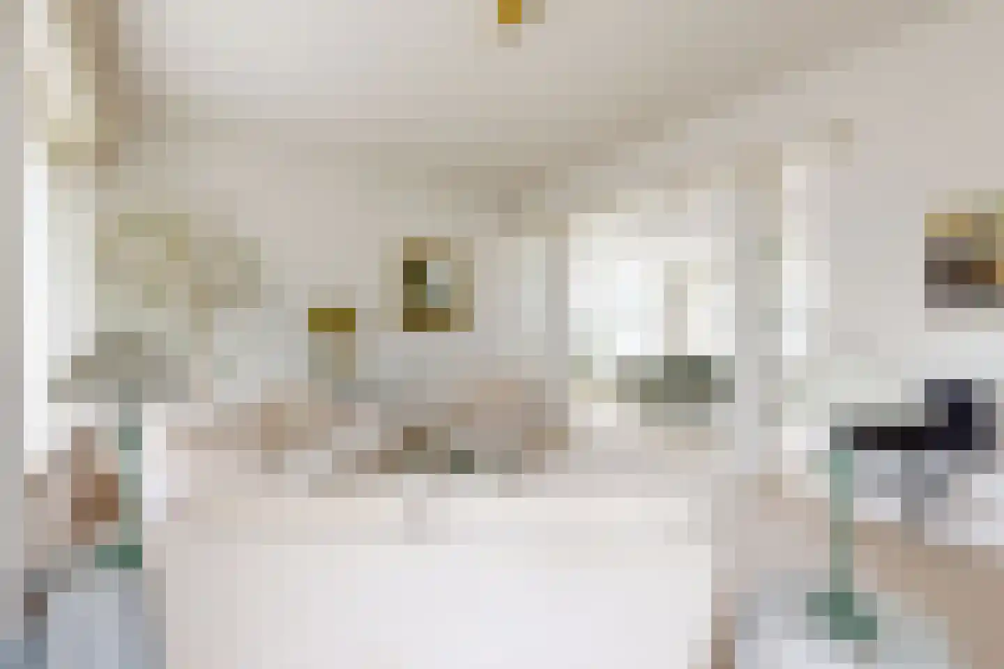 Papaverstraat 19 Zevenbergen thumbnail 20