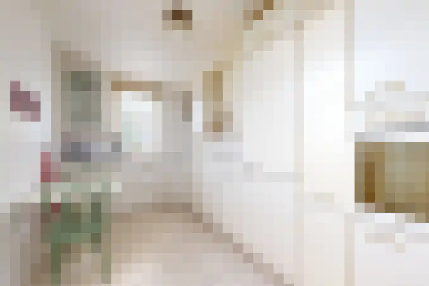 Papaverstraat 19 Zevenbergen thumbnail 22
