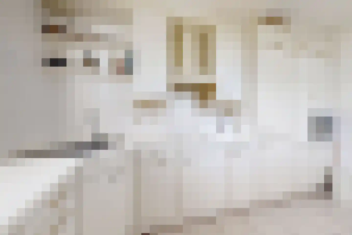 Papaverstraat 19 Zevenbergen thumbnail 23