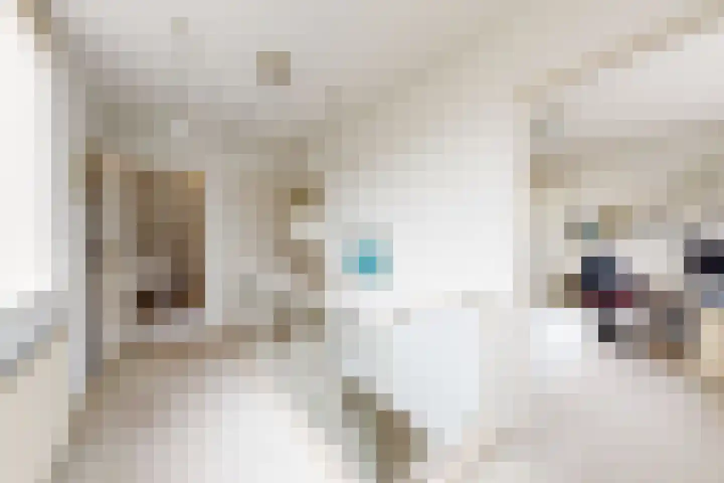 Papaverstraat 19 Zevenbergen thumbnail 32