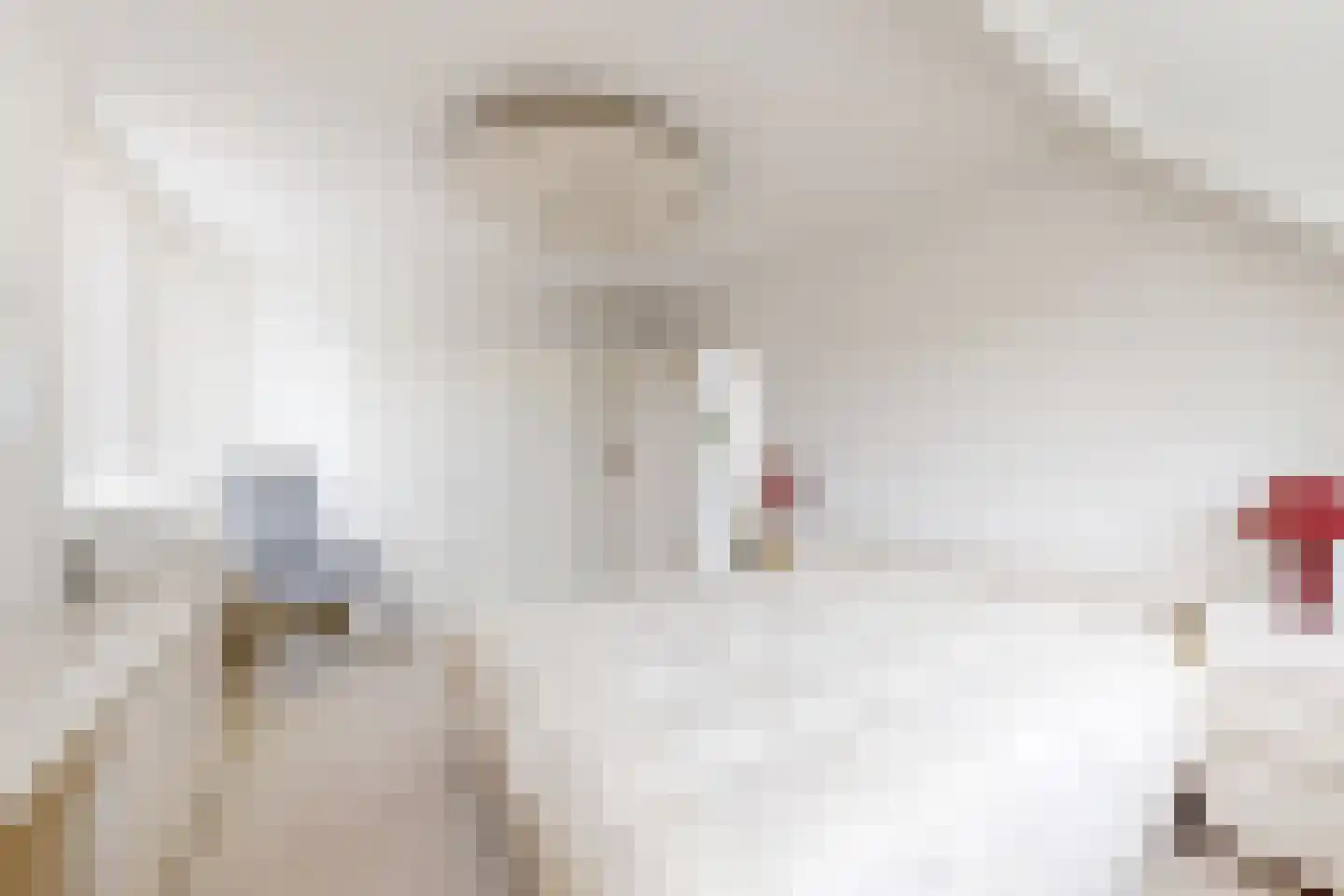 Papaverstraat 19 Zevenbergen thumbnail 39