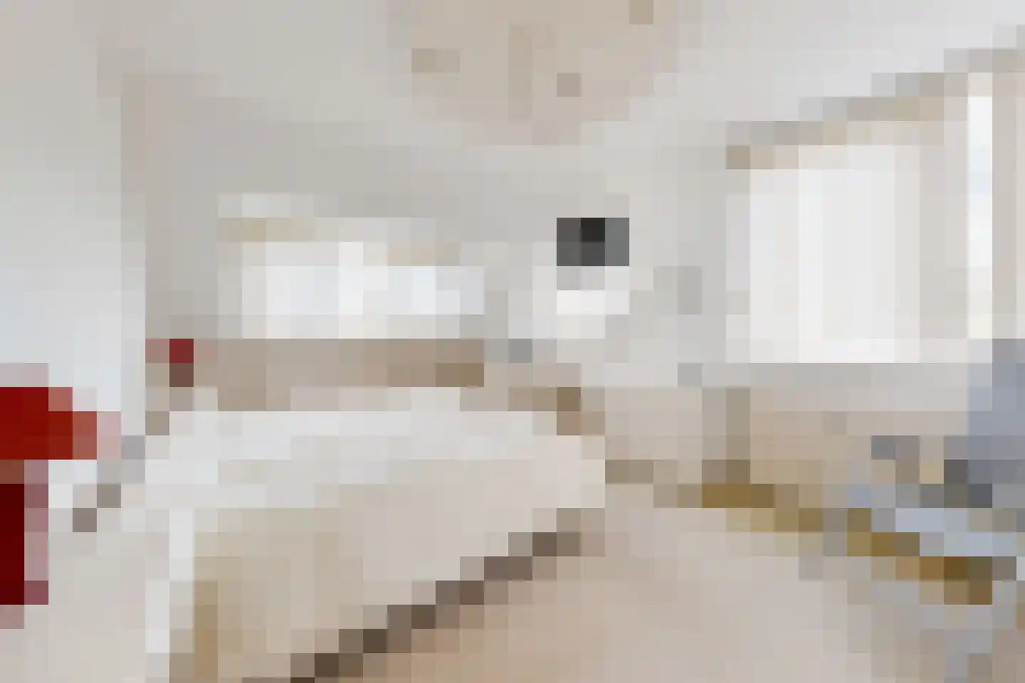 Papaverstraat 19 Zevenbergen thumbnail 4