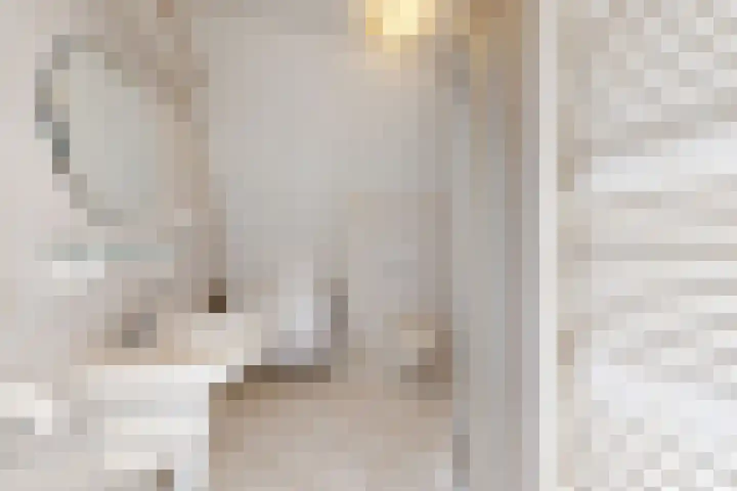 Papaverstraat 19 Zevenbergen thumbnail 41
