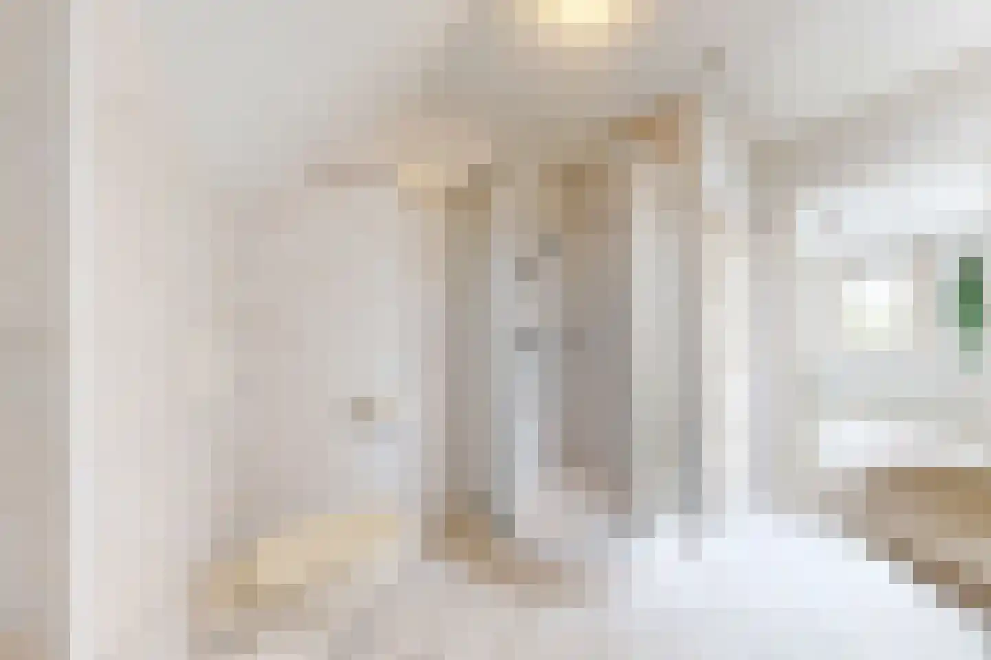 Papaverstraat 19 Zevenbergen thumbnail 42