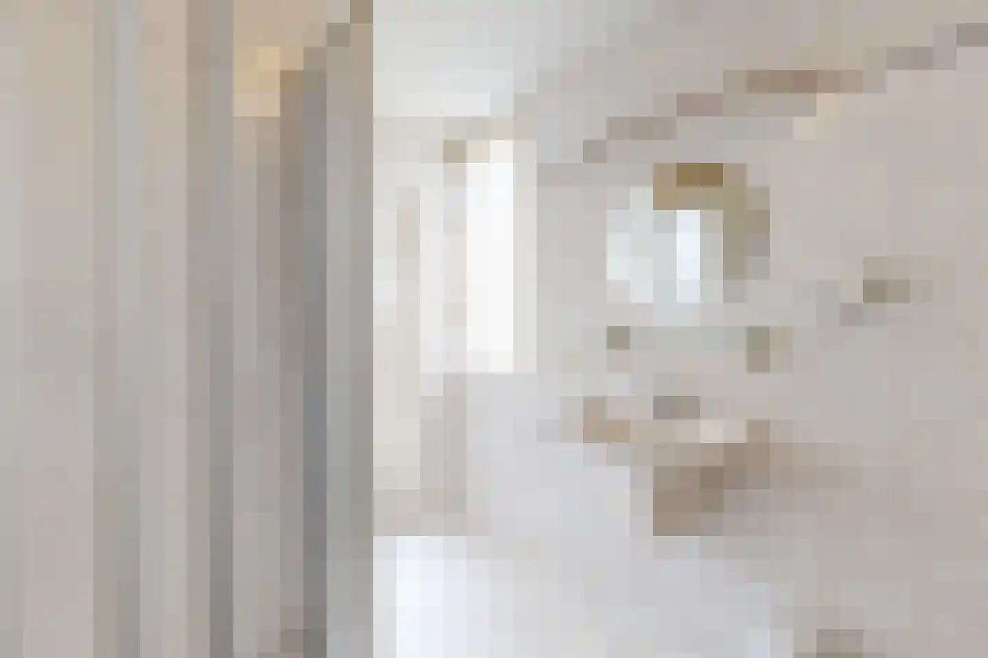 Papaverstraat 19 Zevenbergen thumbnail 43