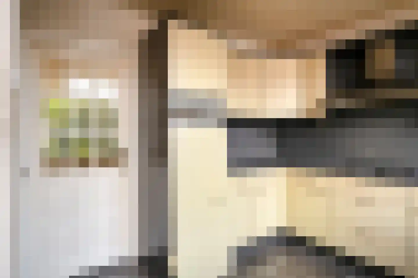Papaverstraat 2 Rosmalen thumbnail 8