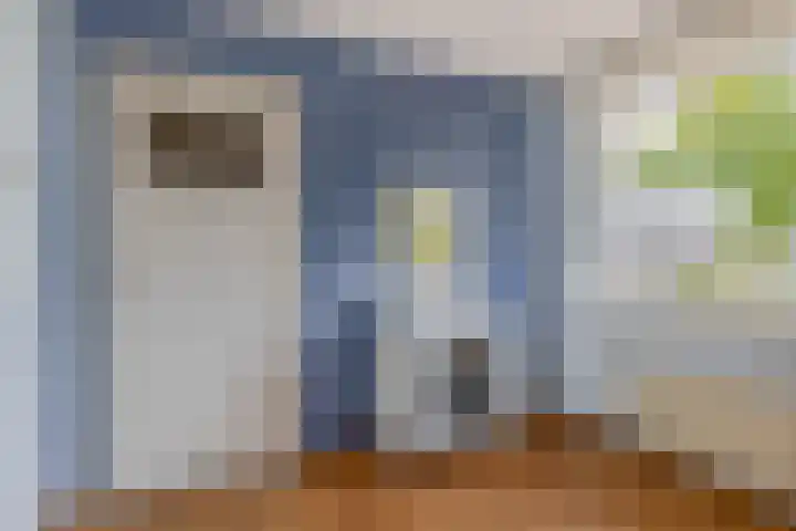Papaverstraat 2 Schijndel thumbnail 21