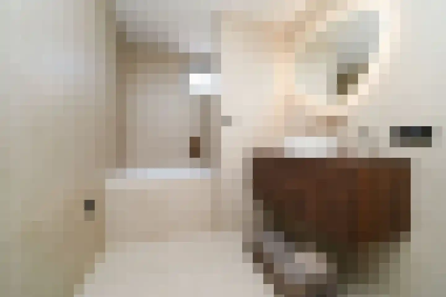 Papaverstraat 20 Alblasserdam thumbnail 15