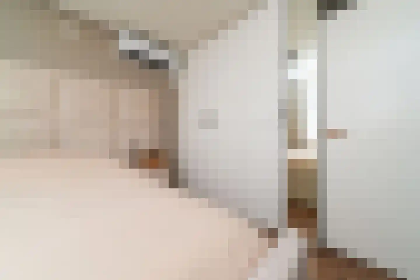 Papaverstraat 20 Alblasserdam thumbnail 23