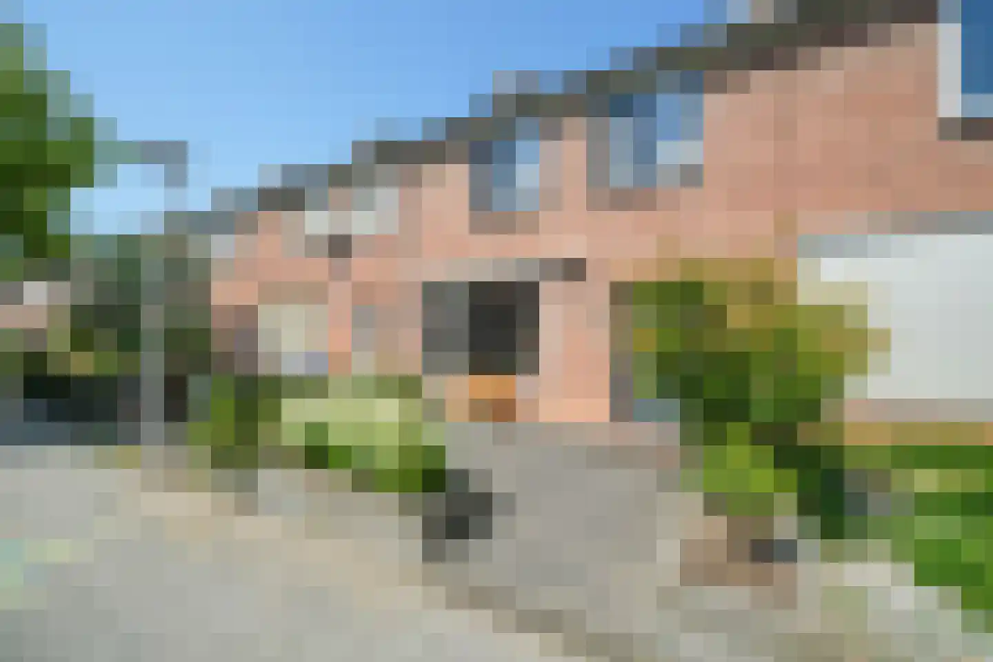 Papaverstraat 20 Alblasserdam thumbnail 39