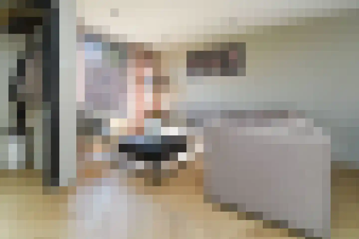 Papaverstraat 20 Alblasserdam thumbnail 8