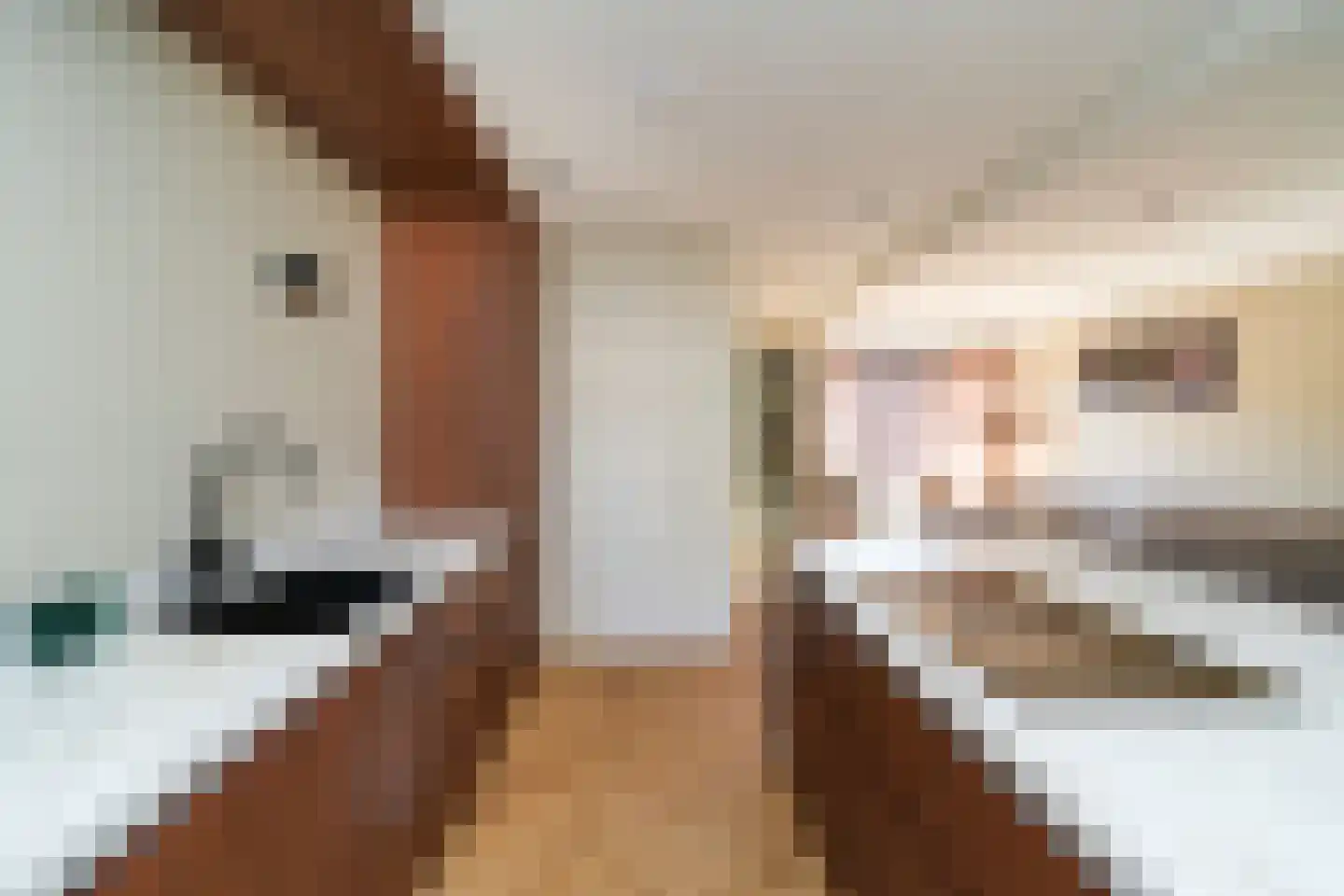 Papaverstraat 20 Alblasserdam thumbnail 9