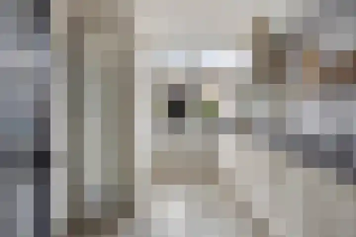 Papaverstraat 20 Rhenen thumbnail 11