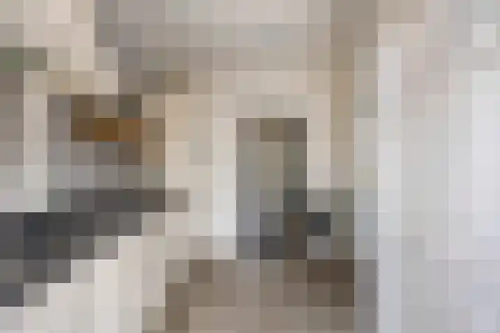 Papaverstraat 20 Rhenen thumbnail 12