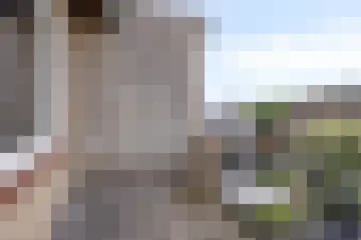 Papaverstraat 20 Rhenen thumbnail 18