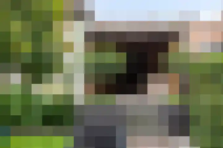 Papaverstraat 20 Rhenen thumbnail 31