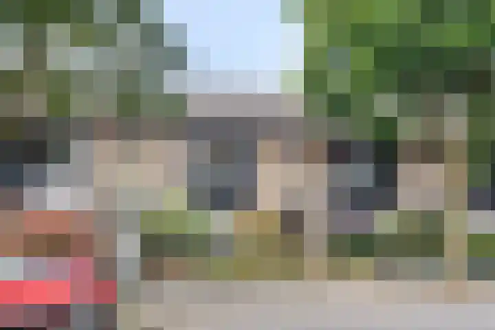 Papaverstraat 20 Rhenen thumbnail 4