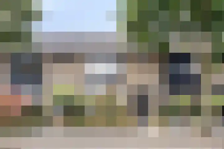 Papaverstraat 20 Rhenen thumbnail 48