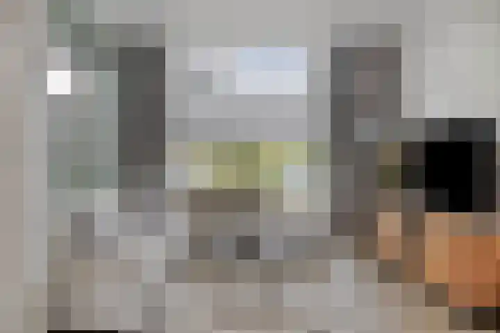 Papaverstraat 20 Rhenen thumbnail 5