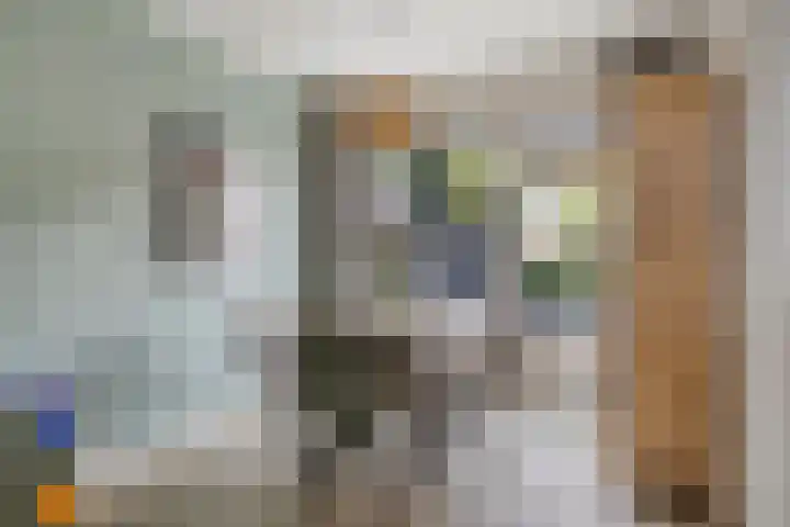 Papaverstraat 20 Rhenen thumbnail 8