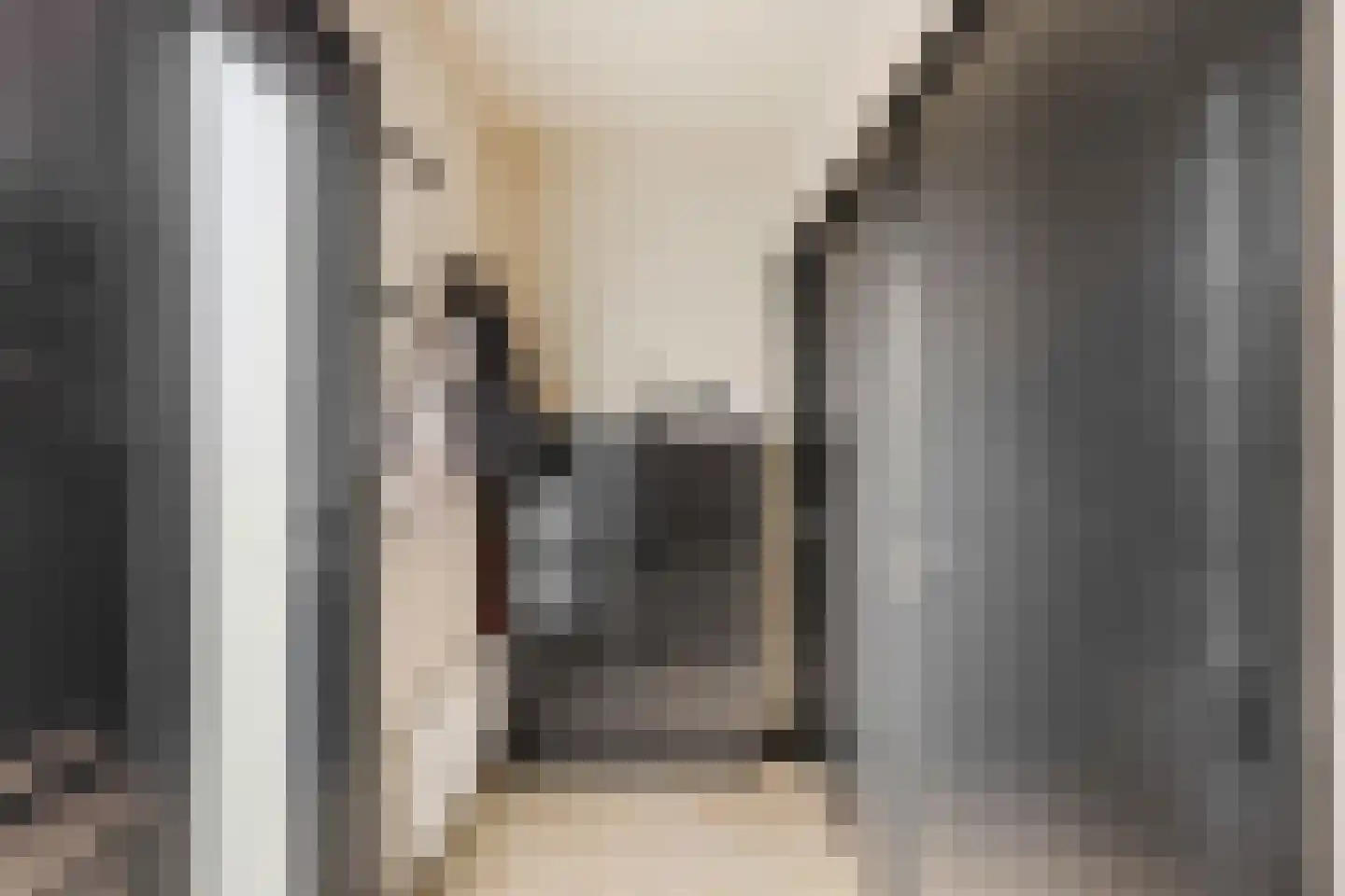 Papaverstraat 22 Alblasserdam thumbnail 10