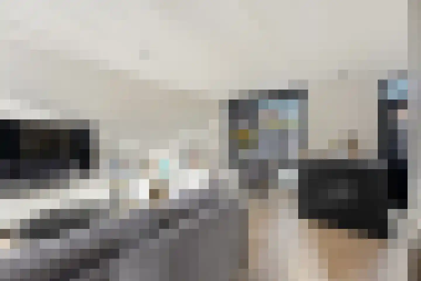 Papaverstraat 22 Alblasserdam thumbnail 13
