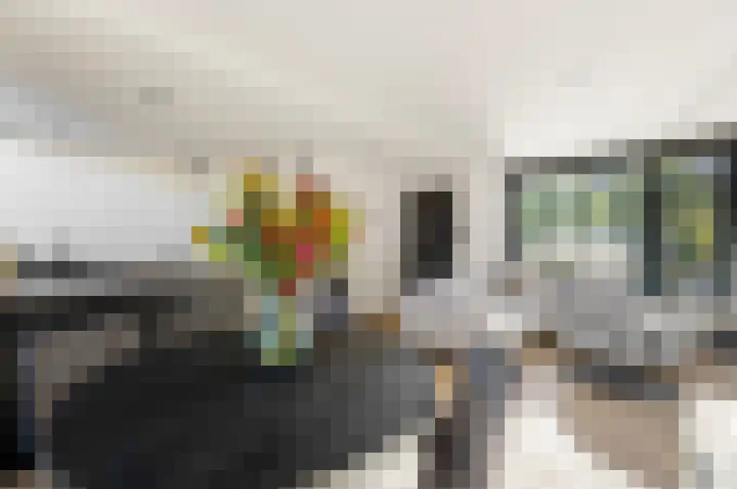 Papaverstraat 22 Alblasserdam thumbnail 15