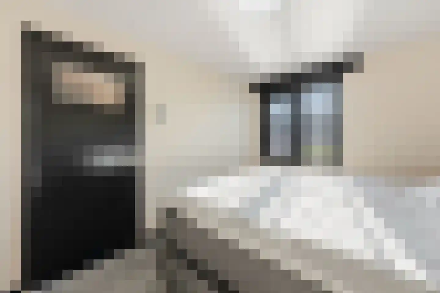 Papaverstraat 22 Alblasserdam thumbnail 18
