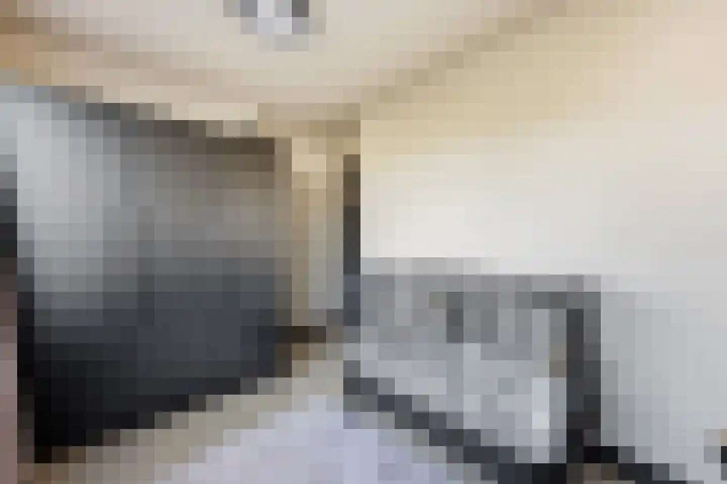 Papaverstraat 22 Alblasserdam thumbnail 20