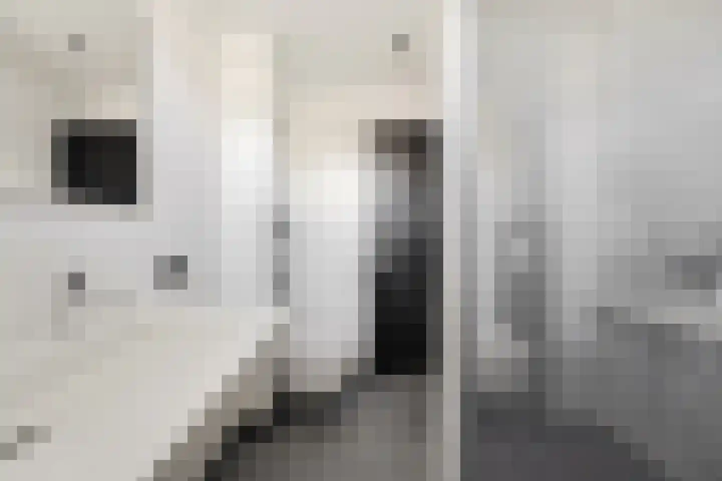 Papaverstraat 22 Alblasserdam thumbnail 22