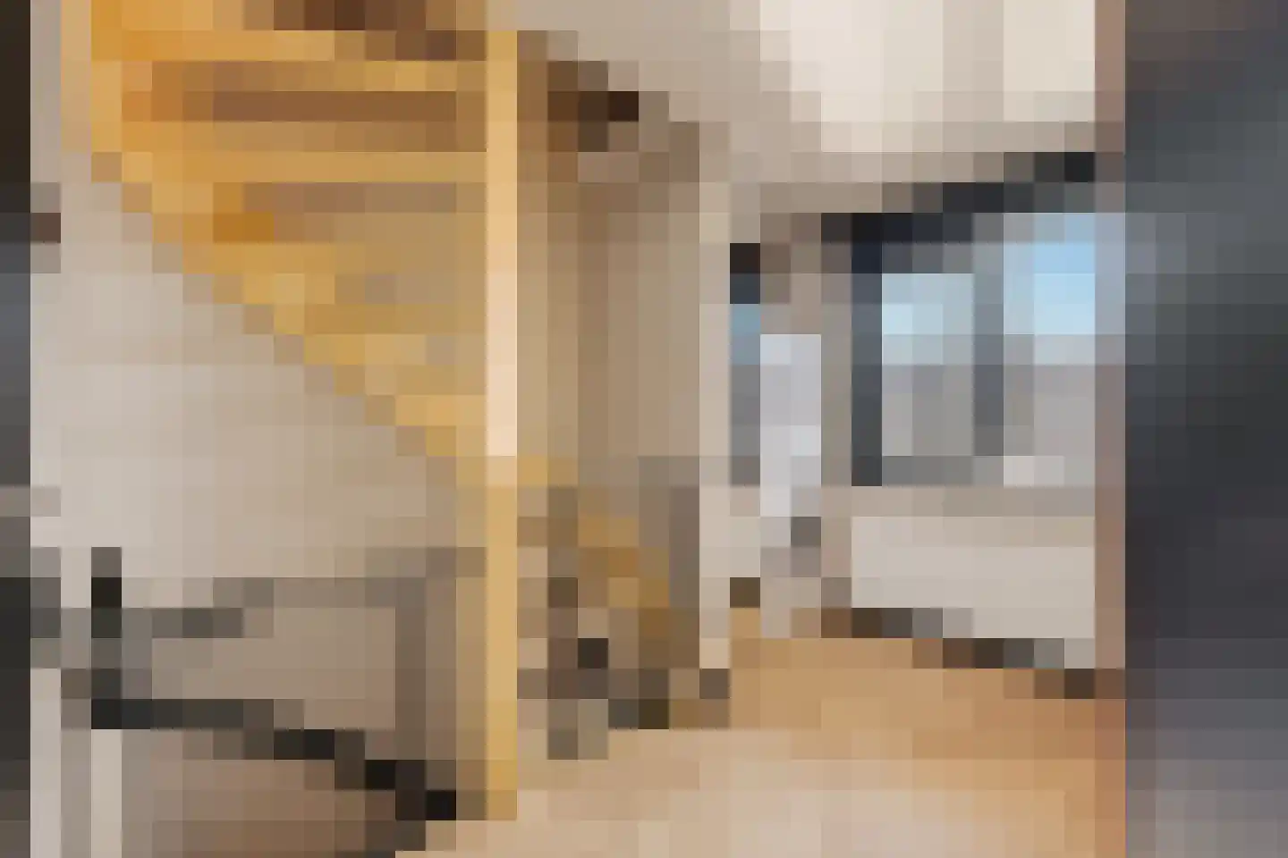 Papaverstraat 22 Alblasserdam thumbnail 24