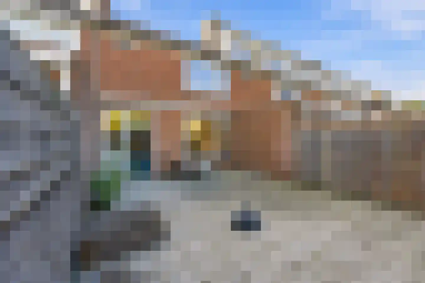 Papaverstraat 22 Alblasserdam thumbnail 31