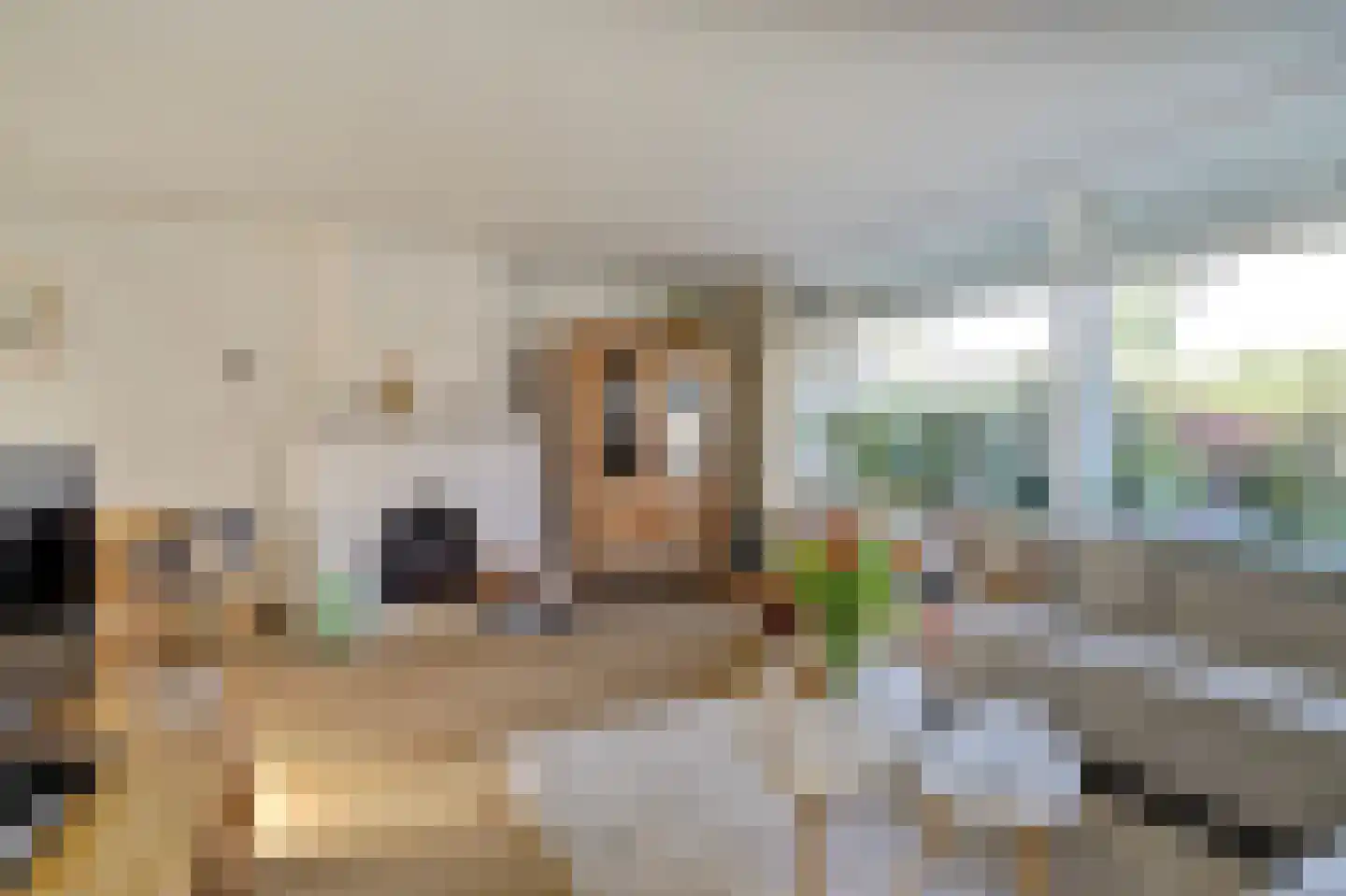 Papaverstraat 22 Dongen thumbnail 10
