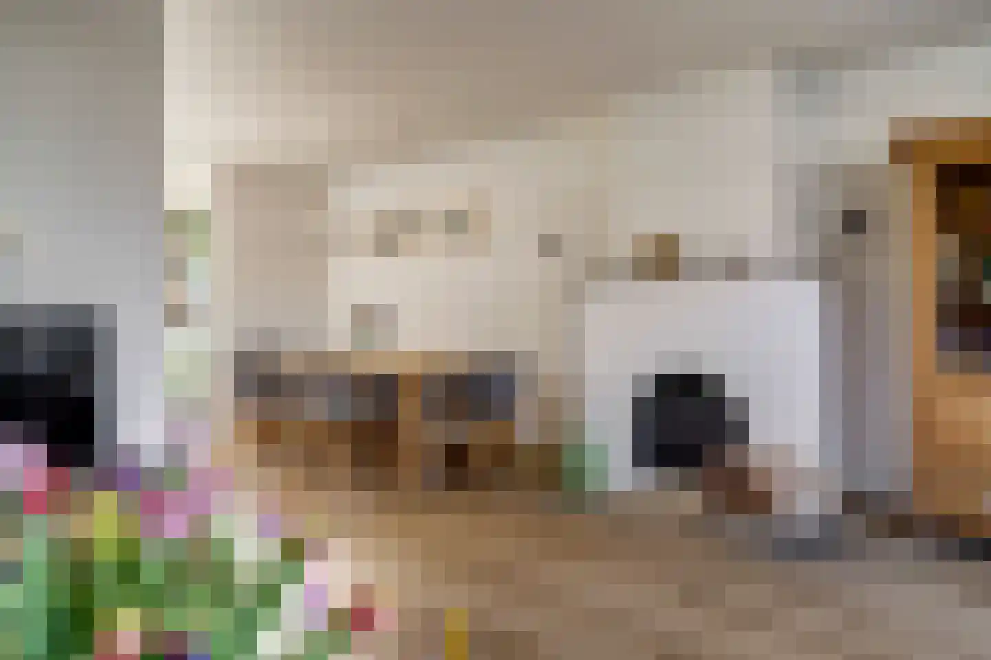 Papaverstraat 22 Dongen thumbnail 11